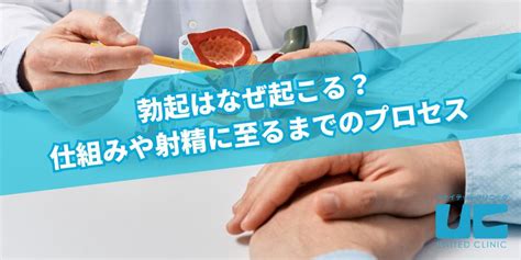 射精 気持ちいい 理由|意外と知らない「勃起と射精」の仕組み。そのメカニズムを医師。